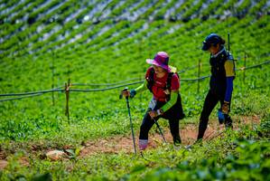 BIB: 
                            <button type="button" onclick="openModal(19164663)" class="btn btn-primary btn-sm float-right btn-popup" data-toggle="modal" data-target=".modal-high-quality">
                        <i class="fas fa-shopping-cart"></i> Add to Cart
                    </button>
                                            <button type="button" onclick="isThisMe(19164663, true)" class="btn btn-success btn-sm float-right btn-popup btn-isme hidden" data-toggle="tooltip" data-placement="bottom" title="นี่คือรูปของคุณใช่ไหม คลิกที่นี่เพื่อเอาเข้าอัลบั้ม">
                        <i class="fas fa-plus"></i> Add to album
                    </button>
                    <button type="button" onclick="isThisMe(19164663, false)" class="btn btn-warning btn-sm float-right btn-popup btn-isnotme hidden">
                        <i class="fas fa-ban"></i> Remove from album
                    </button>